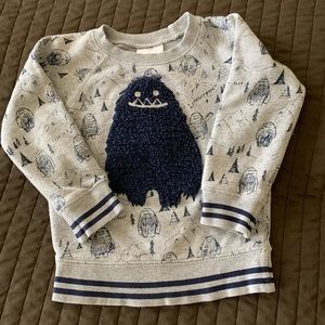 Boys sweatshirt size 3T